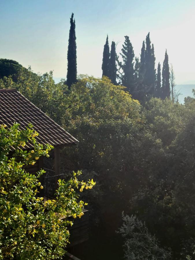 Vila Roof Of The Galilee Amirim Exteriér fotografie