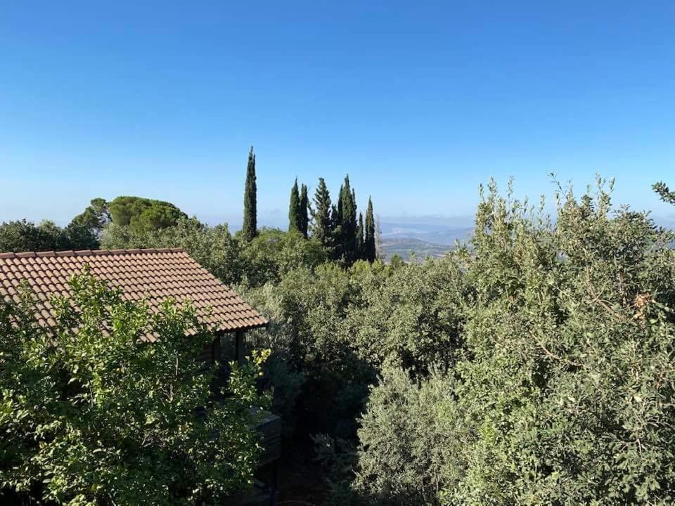 Vila Roof Of The Galilee Amirim Exteriér fotografie